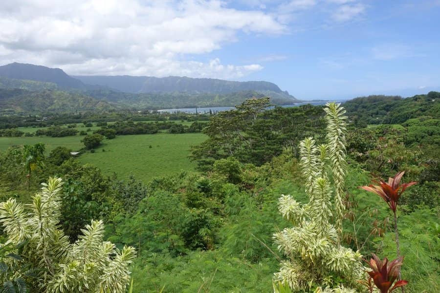 Iconic Pavilion and Pier