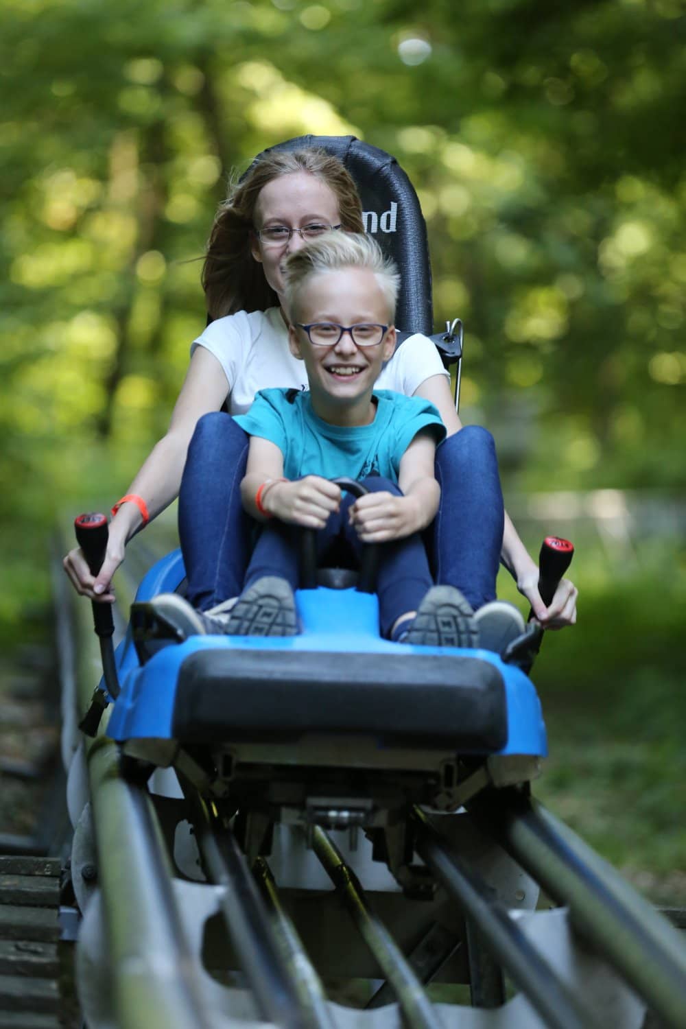 Tree Climbing Challenge