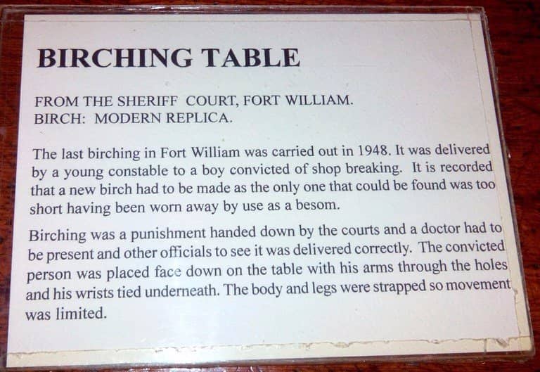 Fossil & Archaeological Finds