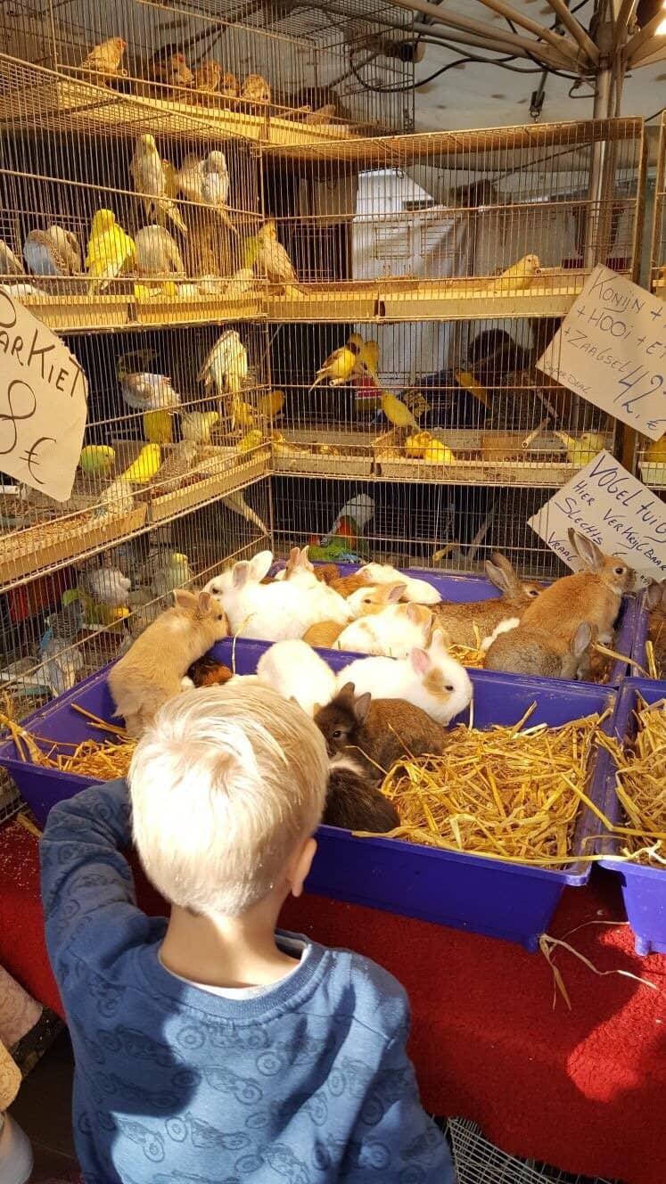 Stunning Flower Stalls