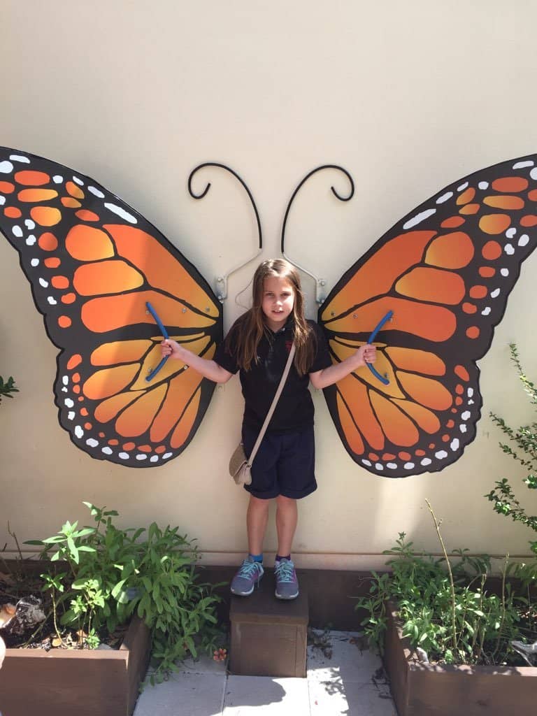 Outdoor Nature Exploration