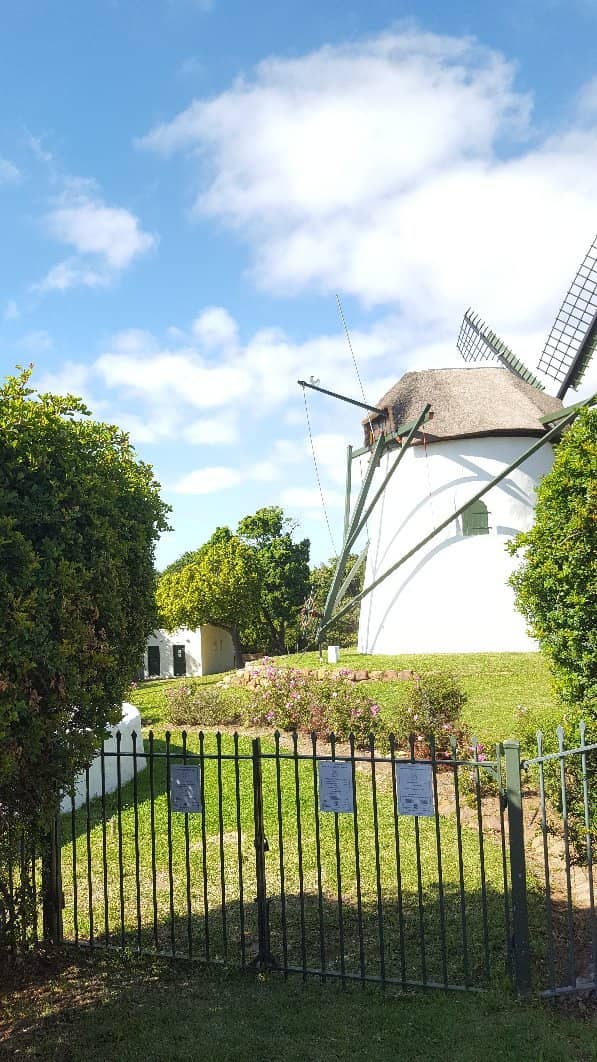 Freshly Milled Flour