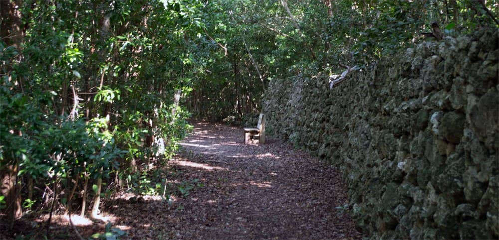 Butterfly Garden & Picnic Area