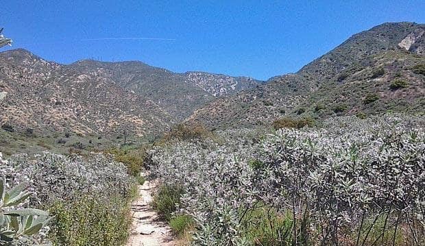 Mummy Rock Nature Trail
