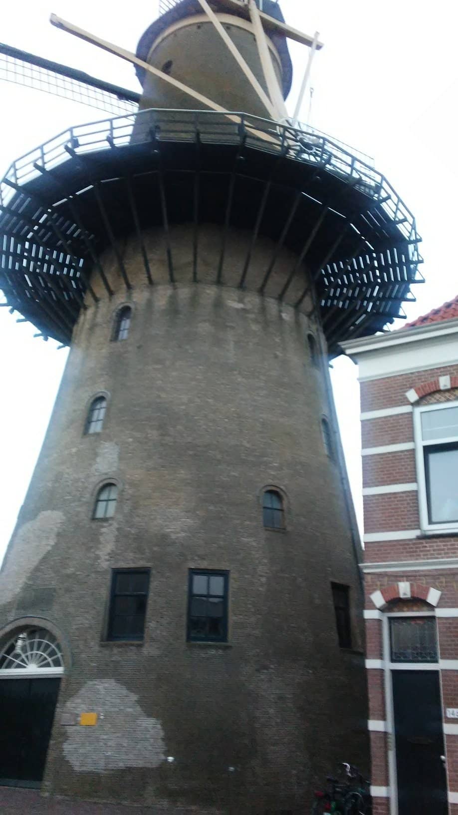 Charming Coffee Shop