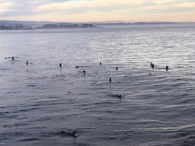 Natural Bridges State Beach