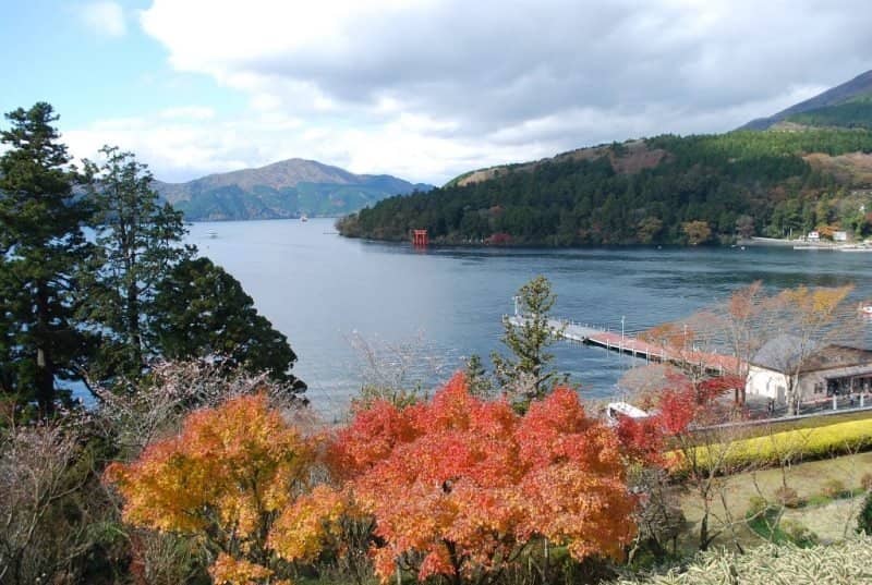 Panoramic Lounge View