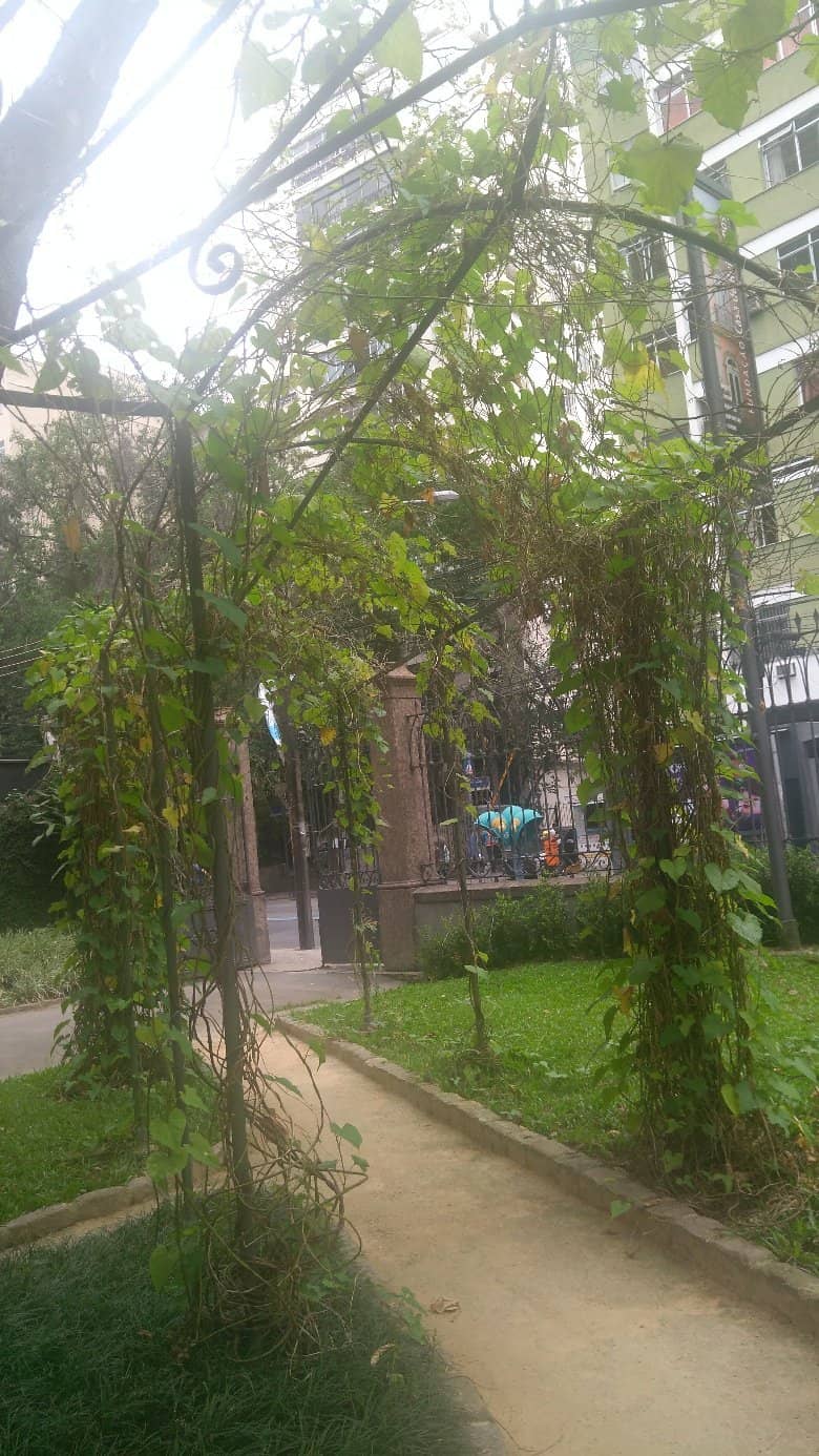 Rui Barbosa's Personal Library