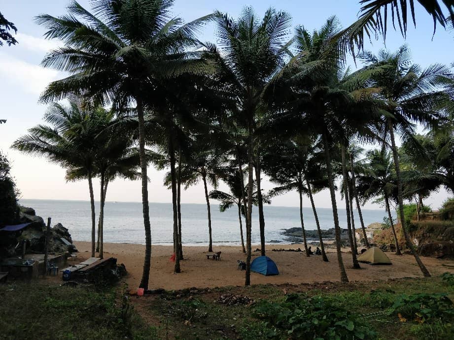 The Jungle Trek Adventure