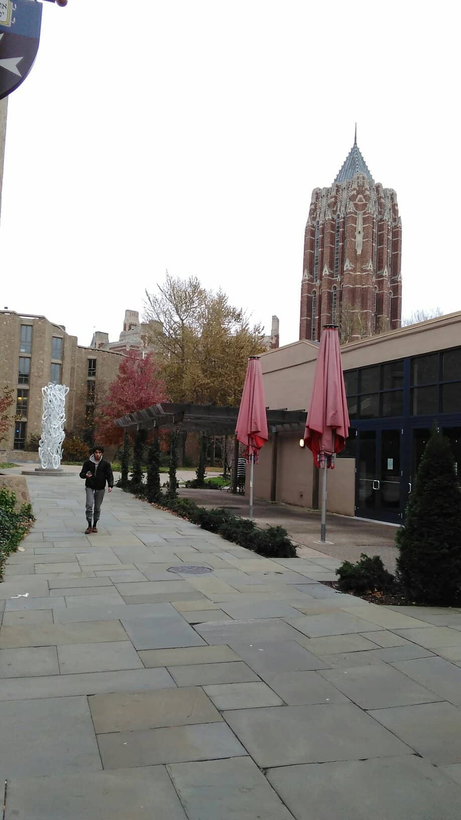 Yale University Campus