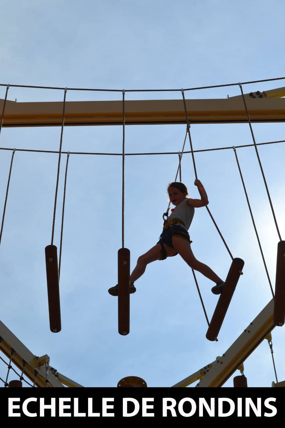 Aquarium & Alligator Park