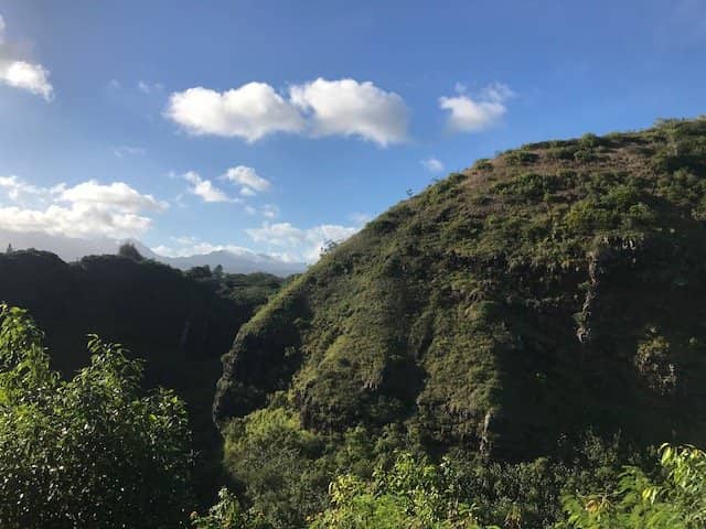 Wailua River Valley Vista