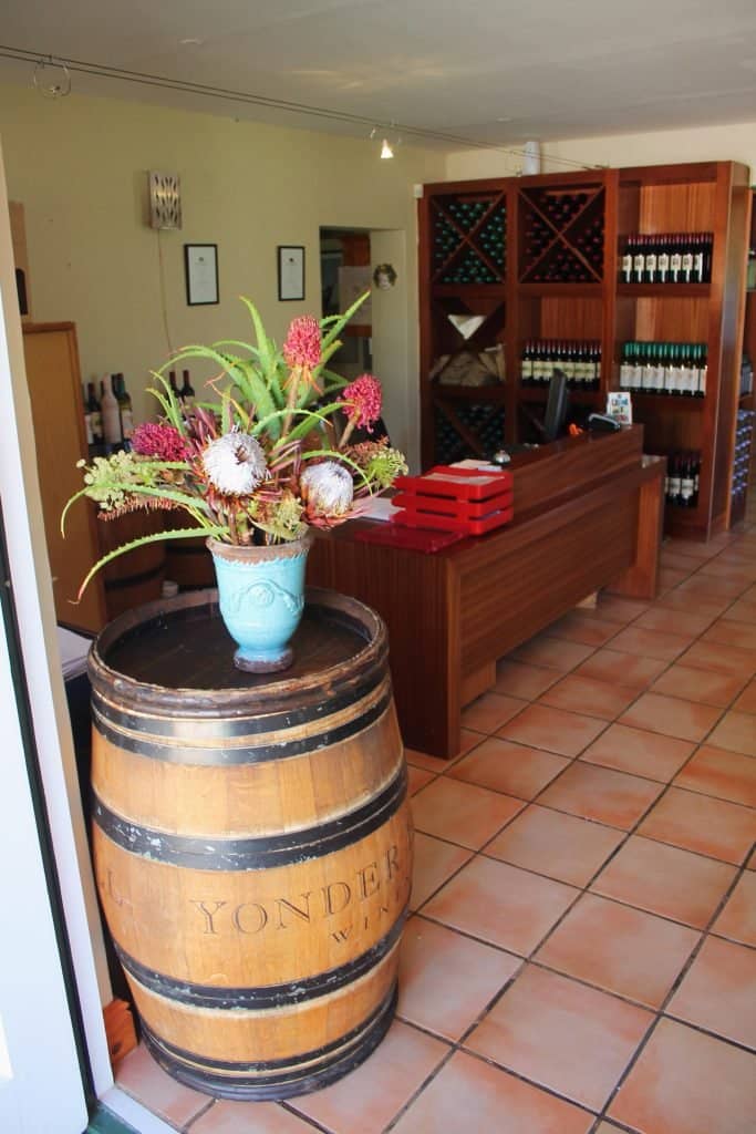 Ankole Cattle Encounter