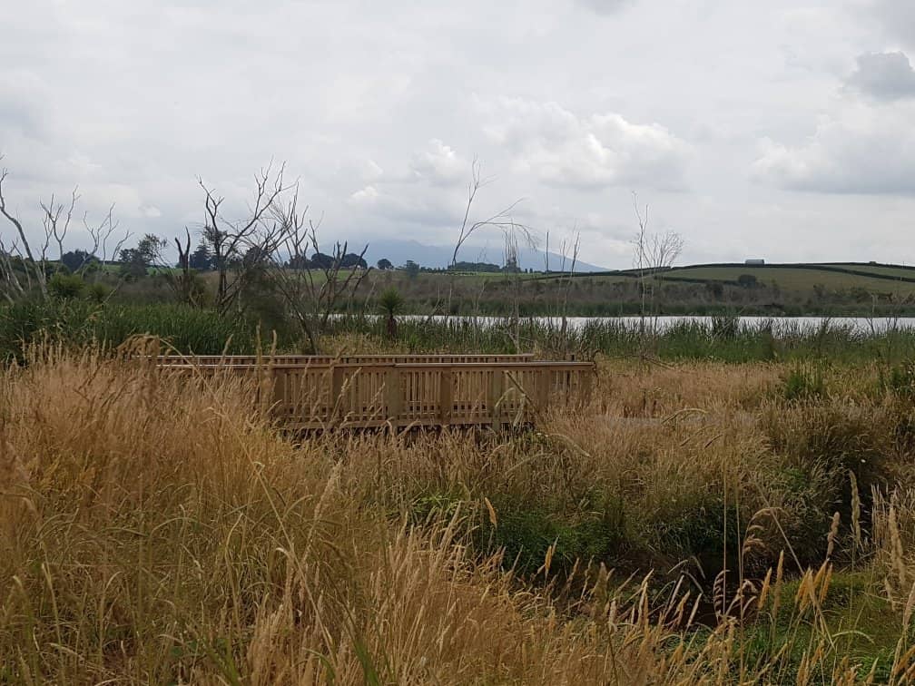 Birdwatching Opportunities