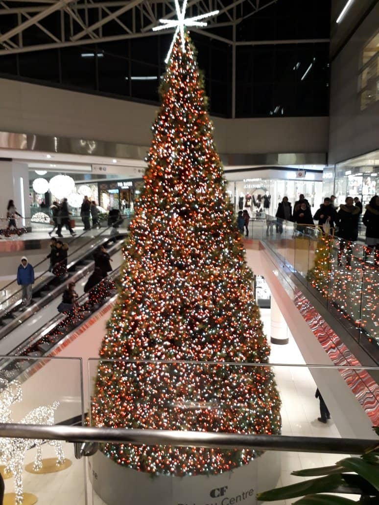 Lamour Beauty & Life