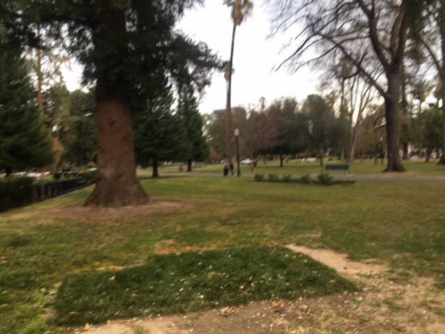 Vertical photo