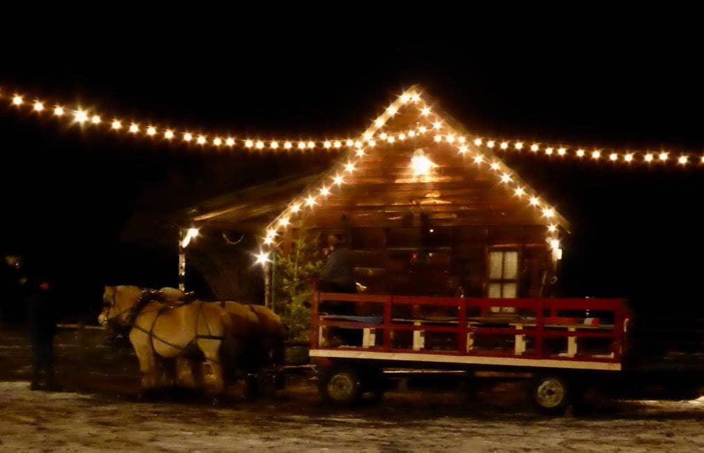 Summer Theatre Productions