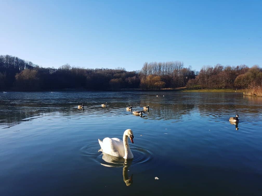 Adventure Playground