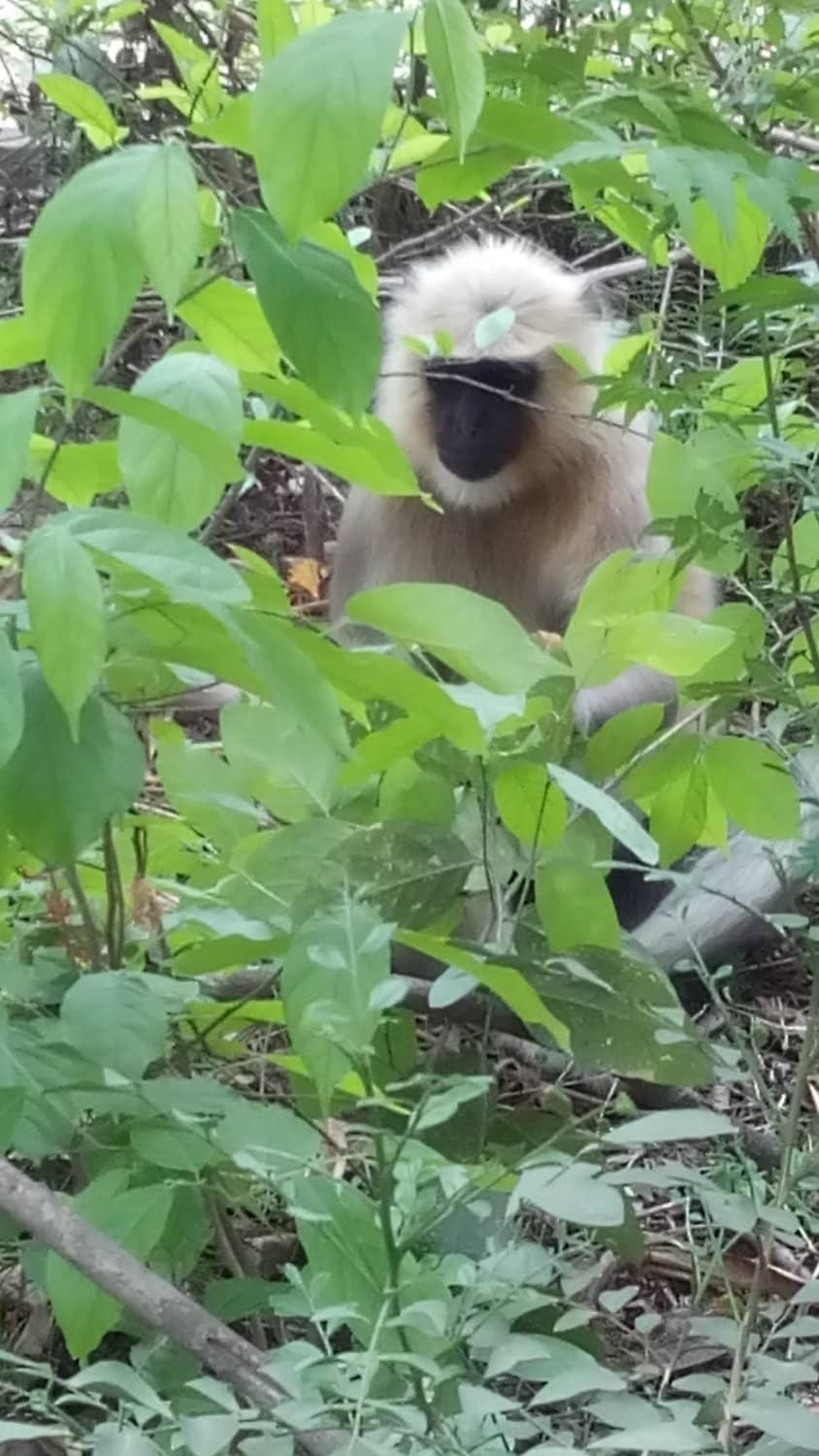 Jayanti Sarovar Boating