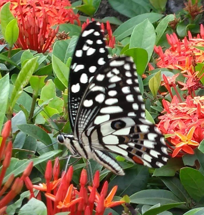 Nature Education Centre