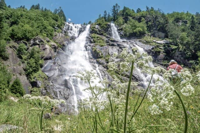 Frozen Winter Wonderland