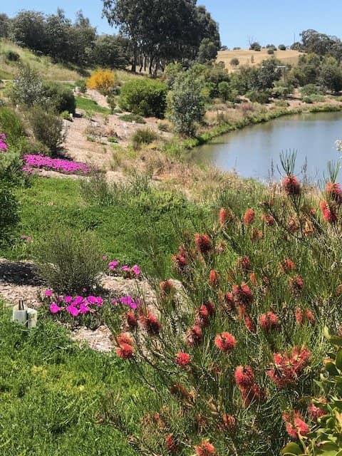 Sculptural Art Installations