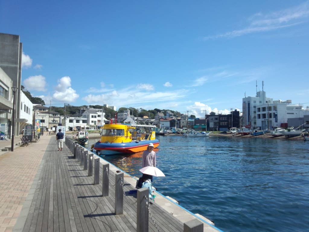 Picturesque Harbor Views