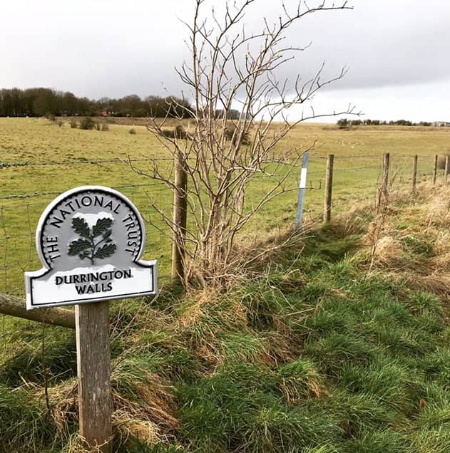 Reconstructed Neolithic Houses