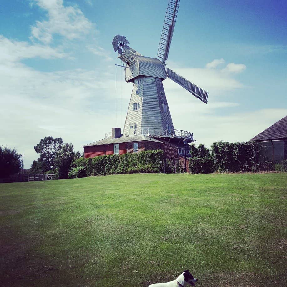 Freshly Milled Flour