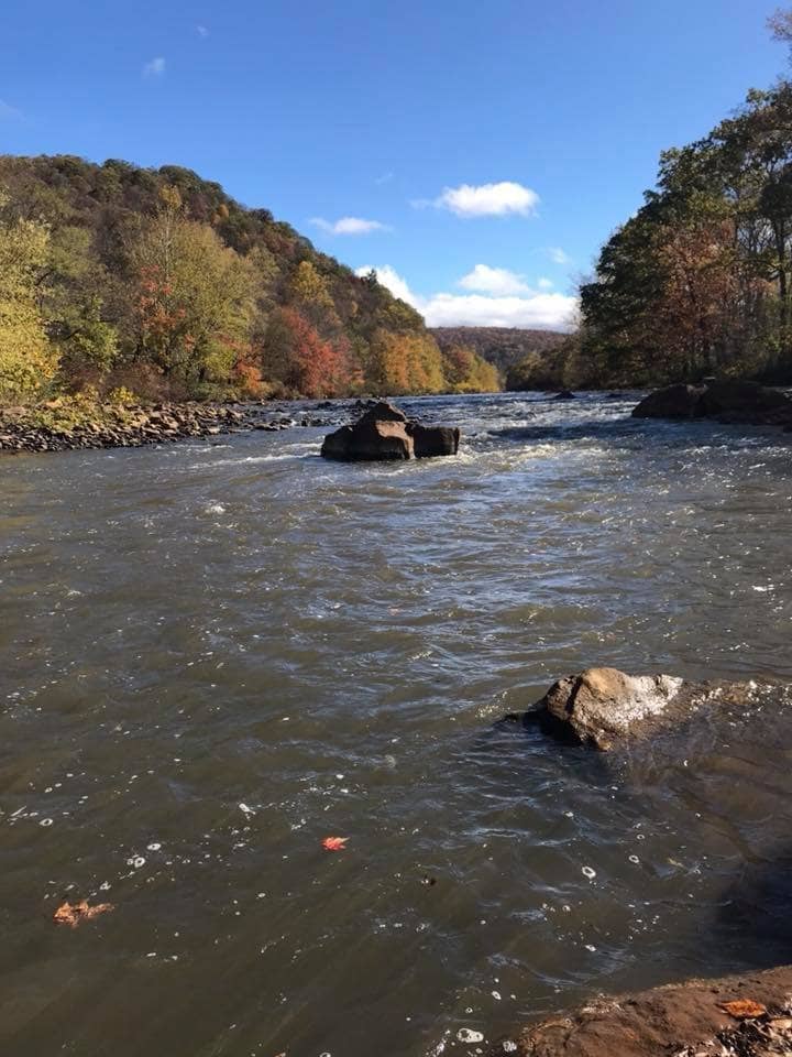 Riverfront Relaxation
