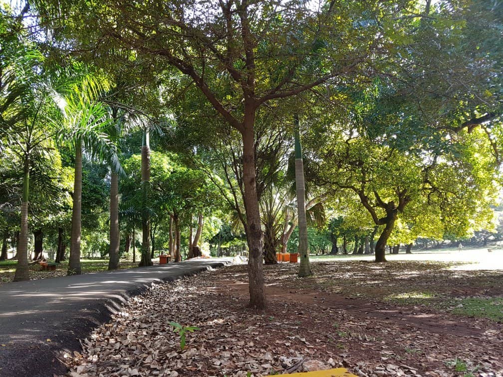 Boating Pond & Turtle Feeding