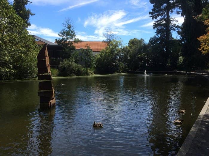 Diverse Botanical Collections