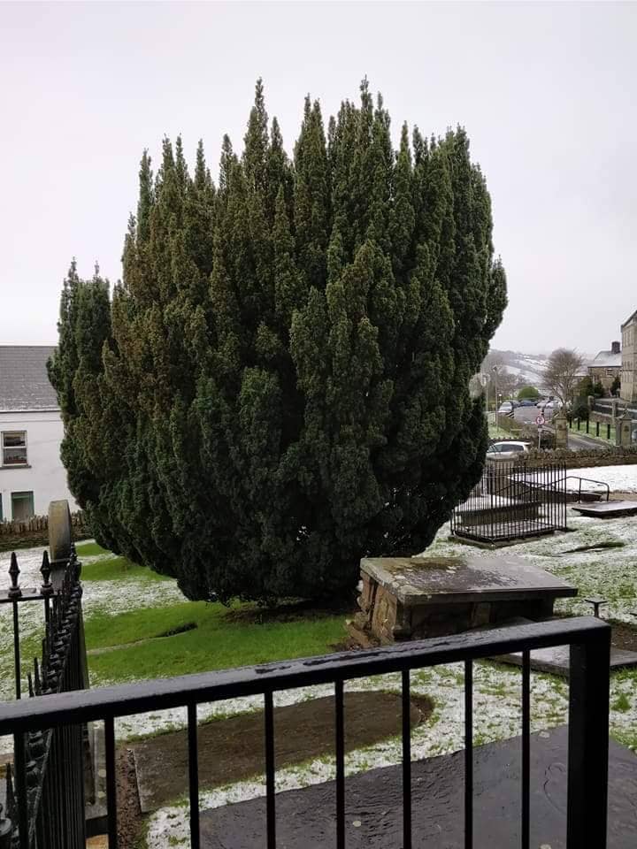 The Graveyard's Stories