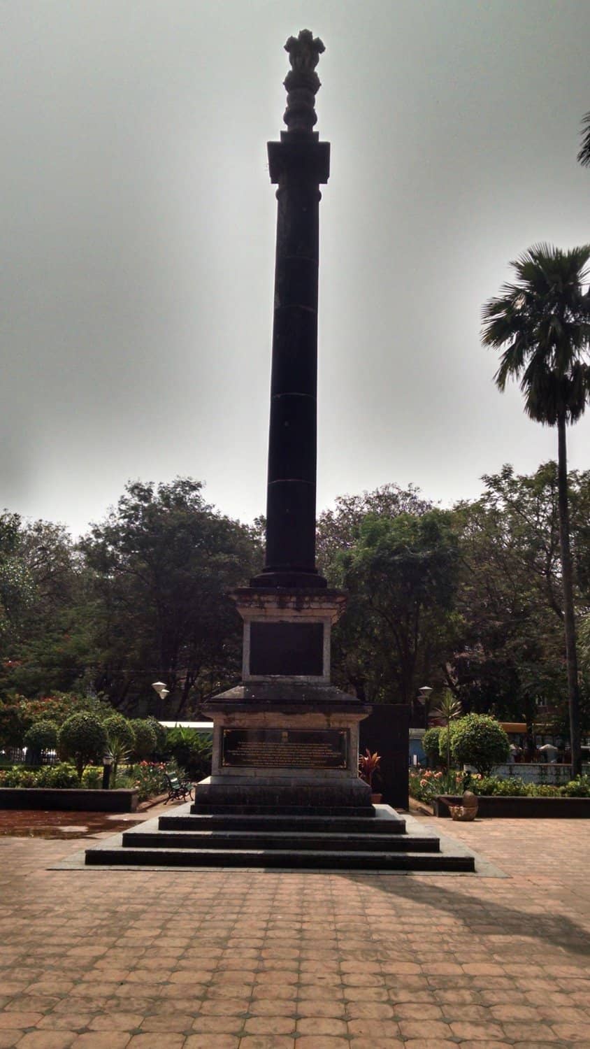 Lush Greenery and Flowers
