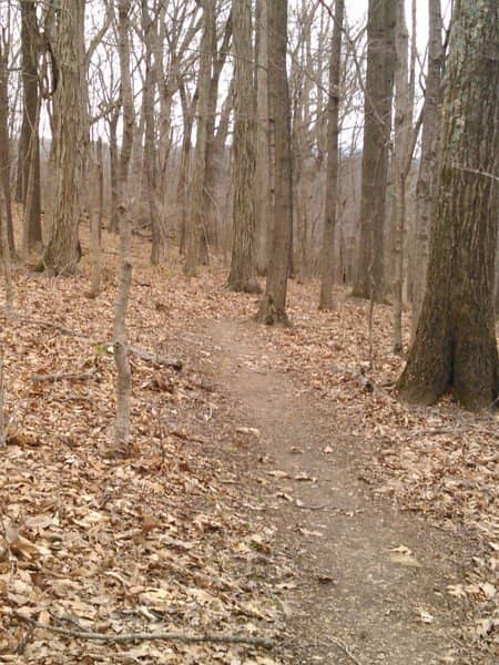The Iconic Stone Staircase