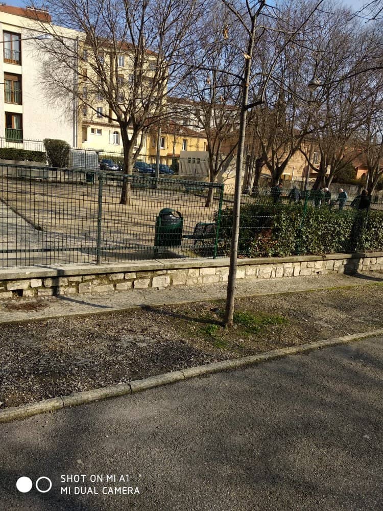 Expansive Green Lawns