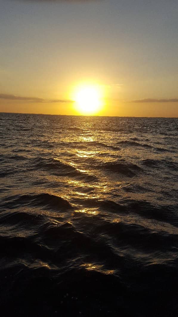 Lighted Canal Cruises