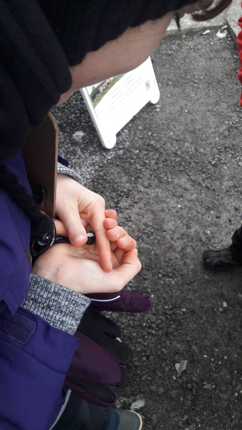 Brewery Tradition Display