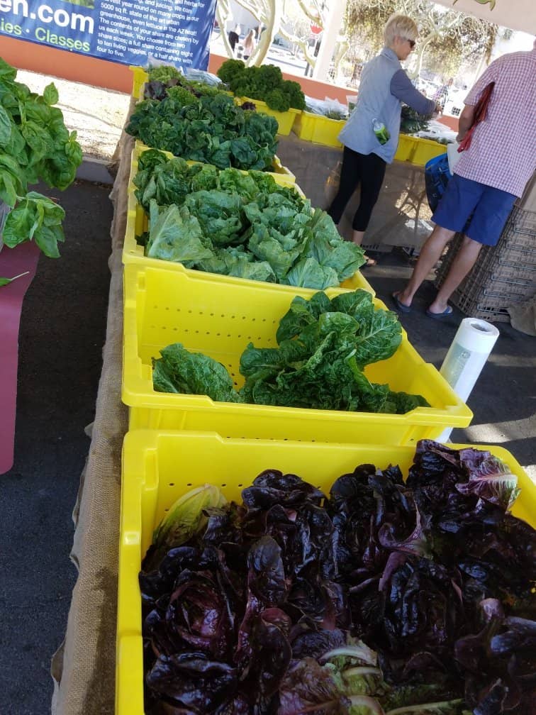 Dog-Friendly Atmosphere