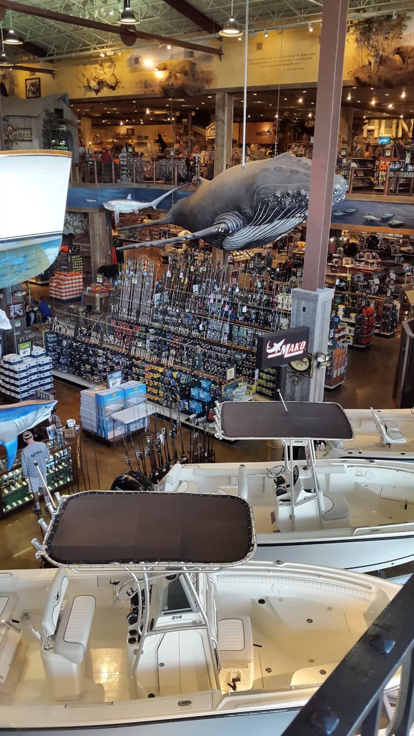 Limited Edition Footwear