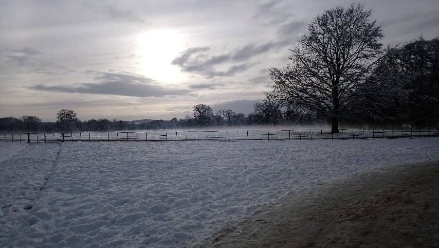 Walled Garden & Play Field