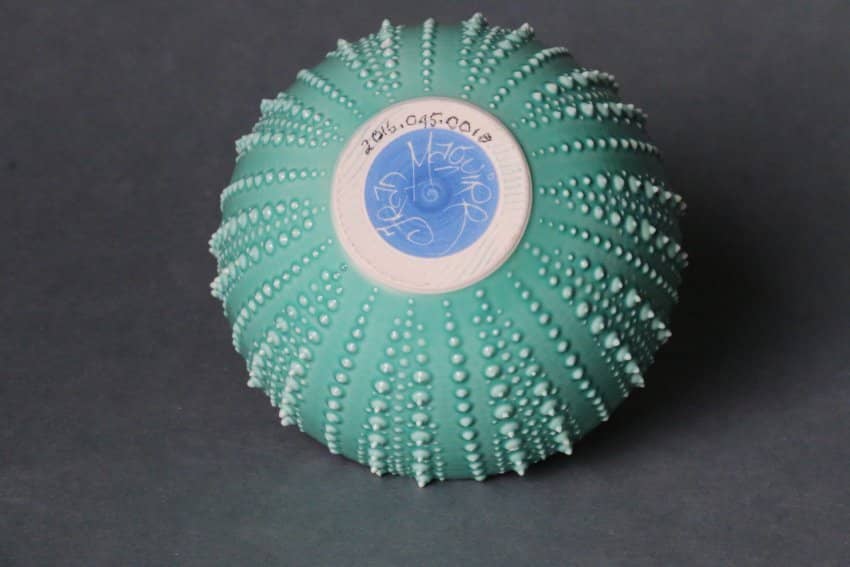 Maori Culture Displays