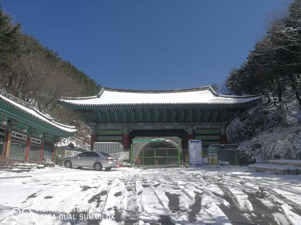 Serene Temple Grounds