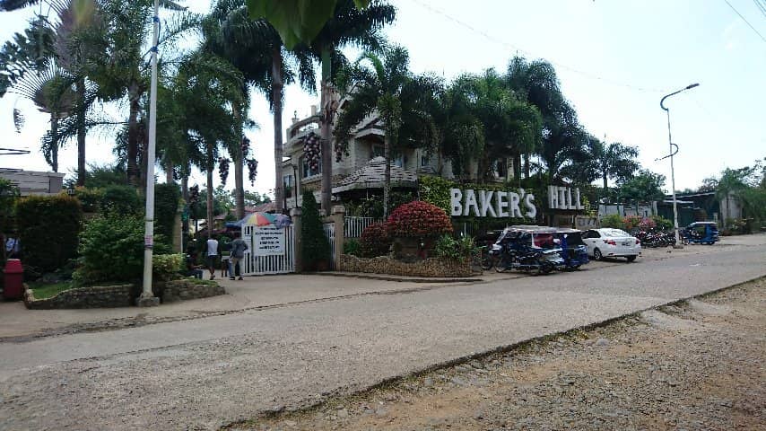 Peacocks and Mini Zoo
