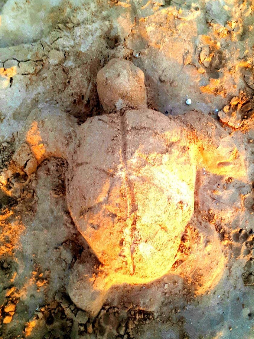 Golden Sands and Calm Waters