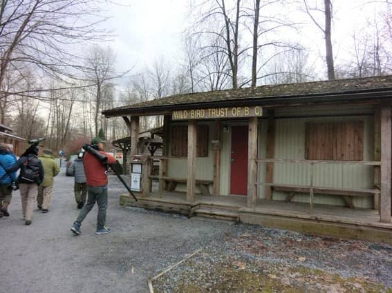 Birdwatching Paradise