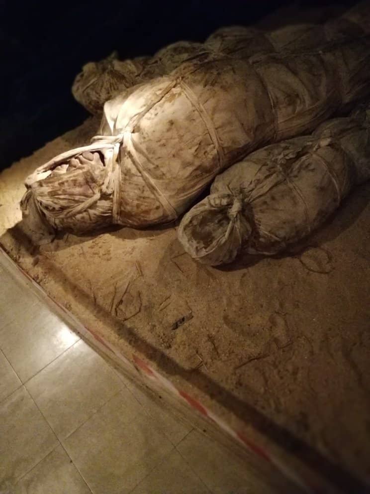 Tsunami Aftermath & Victim ID