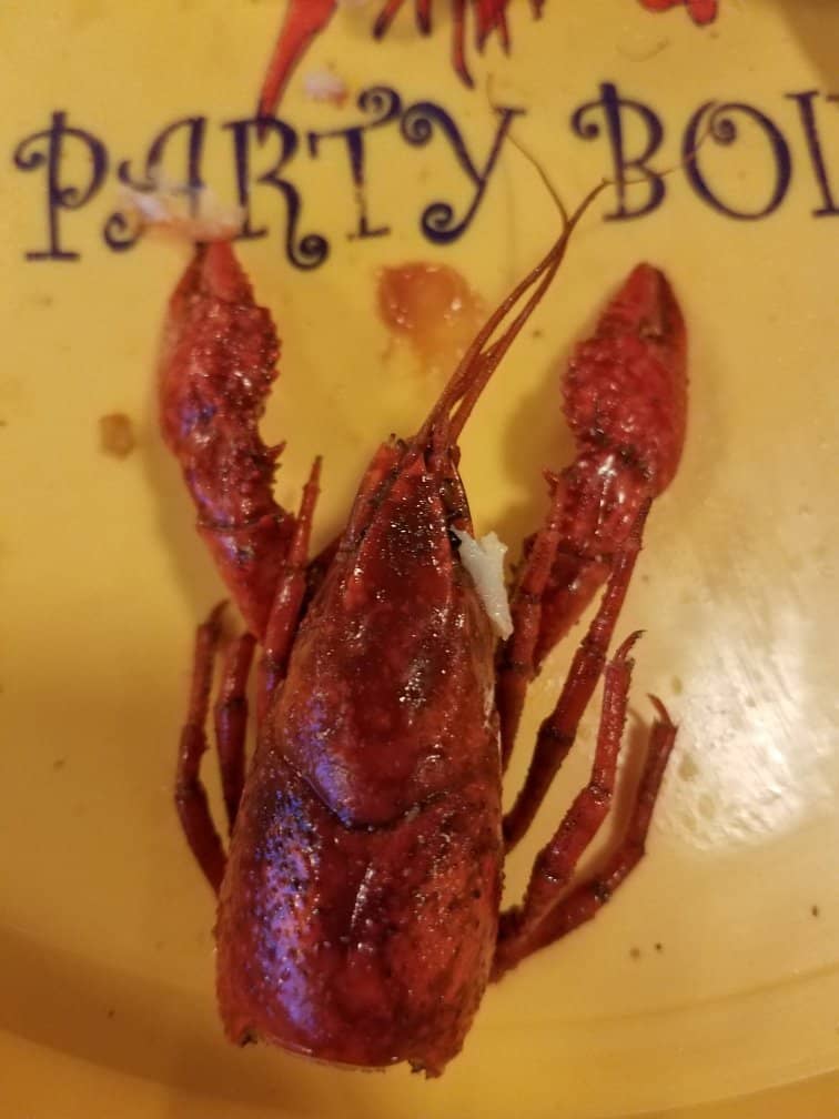 Authentic Louisiana Atmosphere