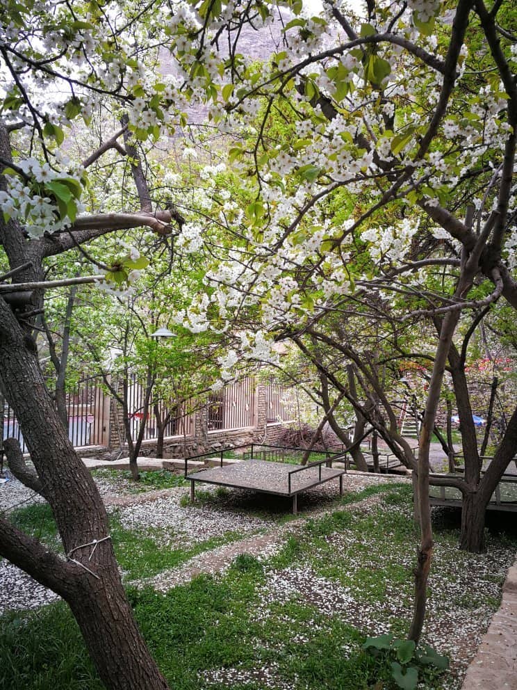 Local Restaurants & Crafts