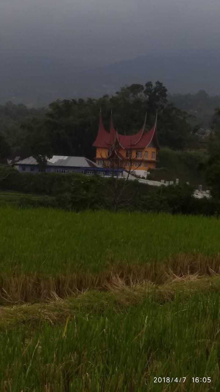 Scenic Mountain Views